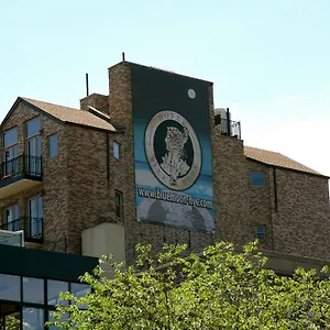 The Historic Blue Moon - Nyc 4*, New York Stati Uniti